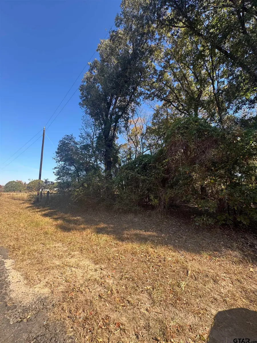 TBD CR 3245, Quitman, TX 75783 - Image #2