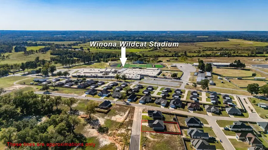 203 Toro Dr., Winona, TX 75792 - Image #3