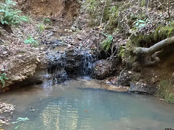 TBD CR 1707, Jacksonville, TX 75766