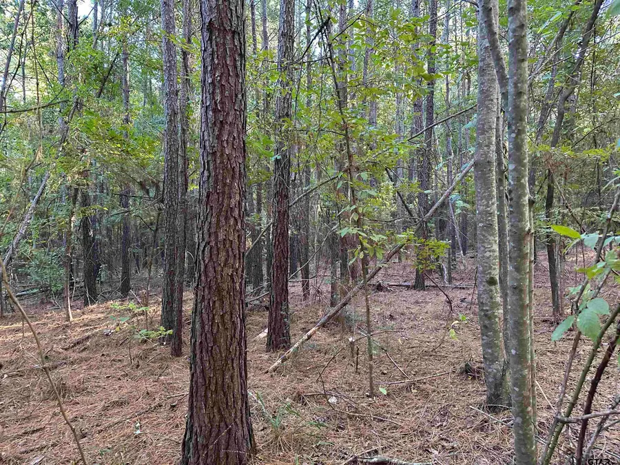 TBD CR 1707, Jacksonville, TX 75766 - Image #3