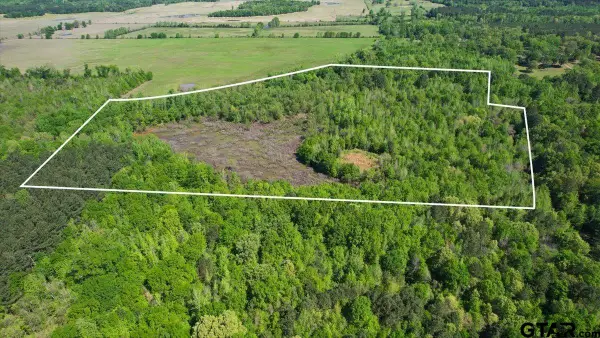 TBD CR 1143, Daingerfield, TX 75638