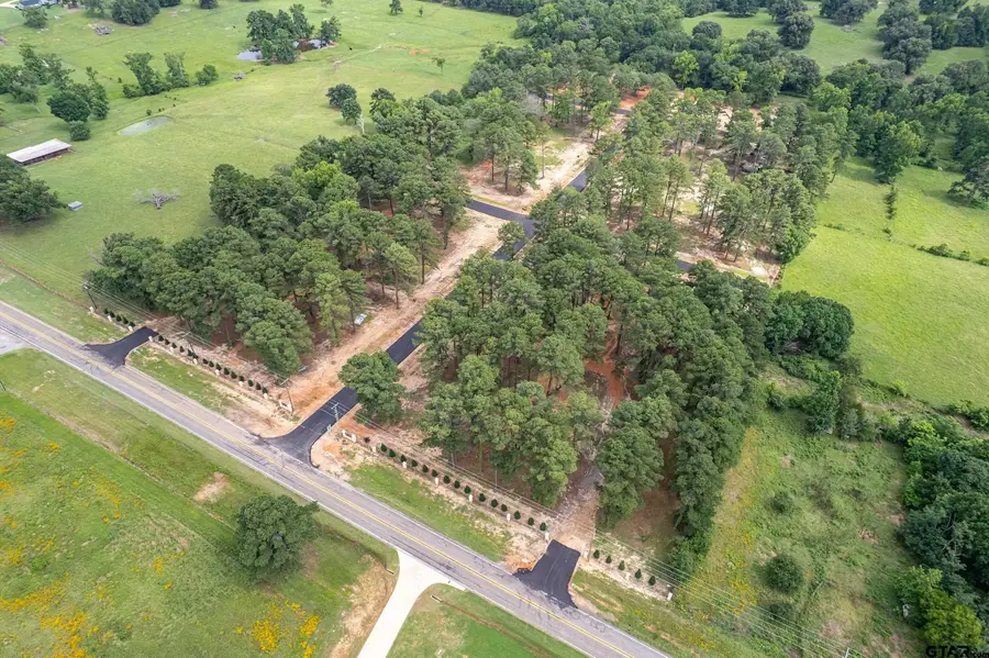 12142 Stephanie ln, Flint, TX 75762 - Image #3