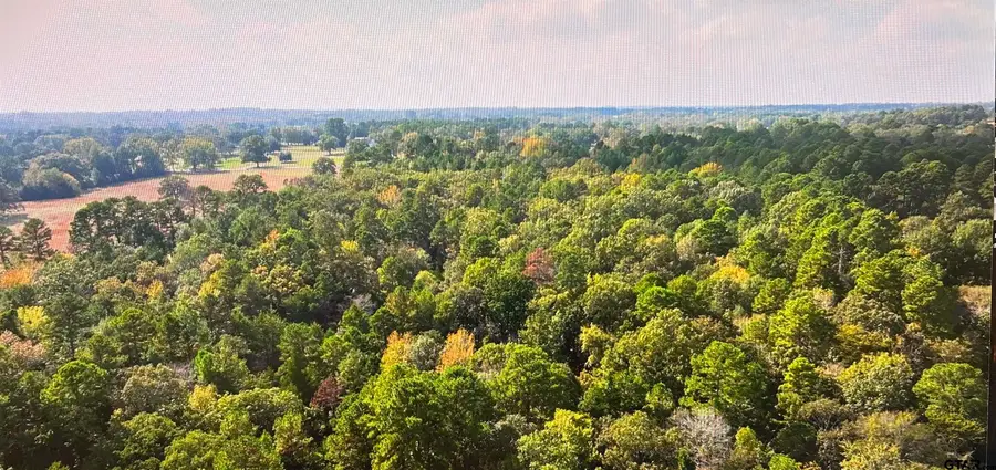 17278 Hwy 69 south, Tyler, TX 75703 - Image #2