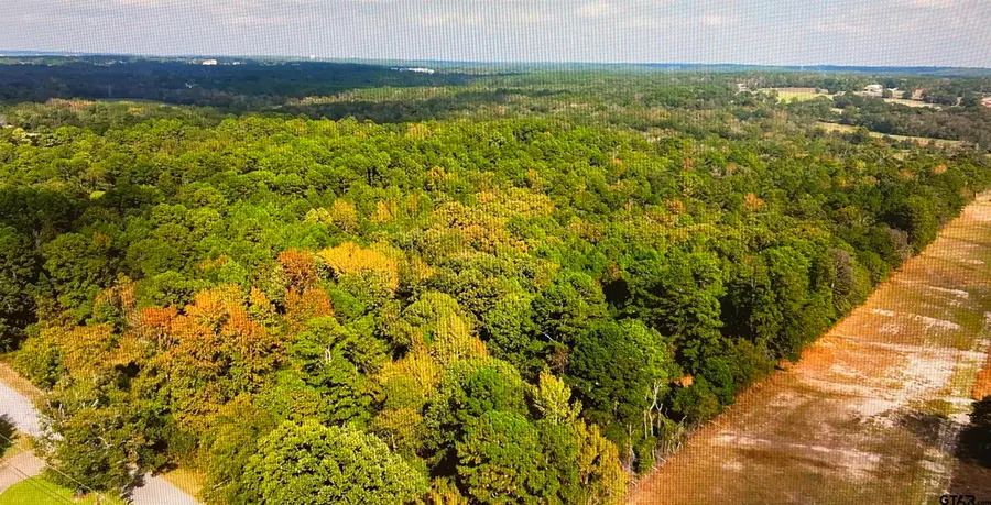 17278 Hwy 69 south, Tyler, TX 75703 - Image #3