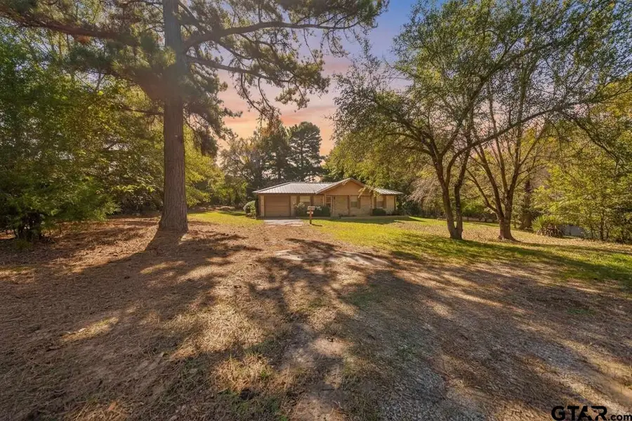 17036 & 17092 FM 317, Chandler, TX 75758 - Image #2