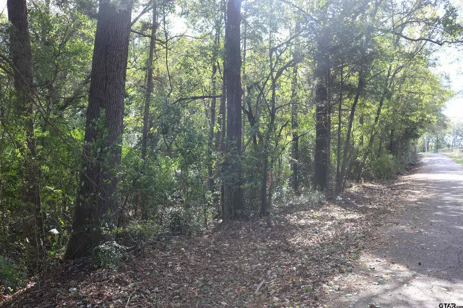 TBD N Cass Street, Jefferson, TX 75657 - Image #2