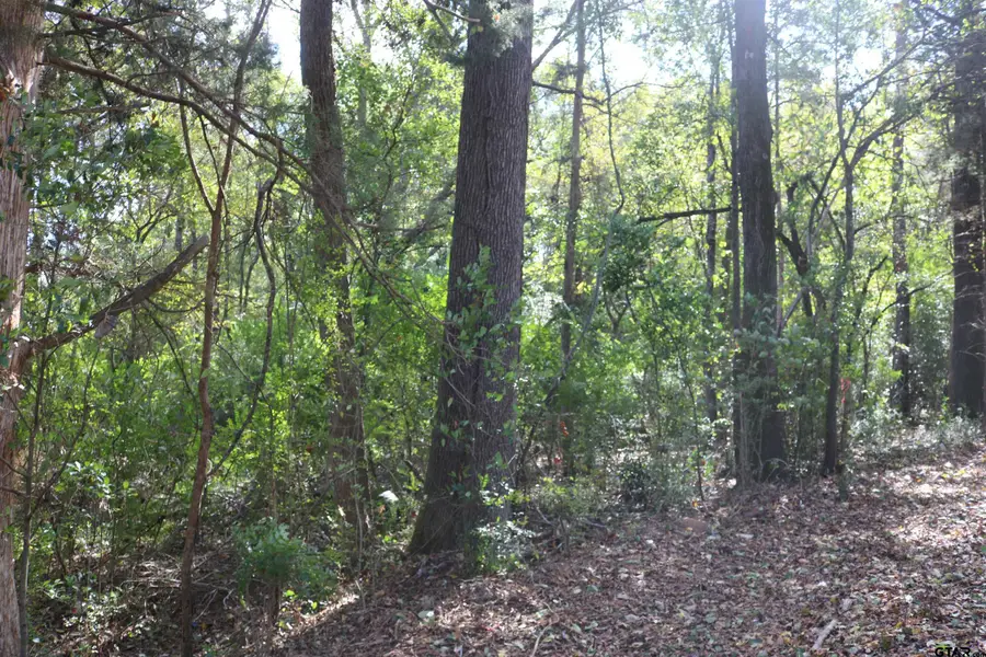 TBD N Cass Street, Jefferson, TX 75657 - Image #3