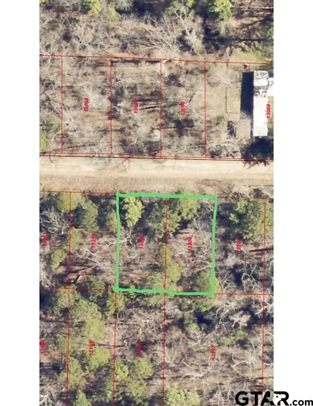 0 Dallas Loop, Avinger, TX 75630 - Image #1