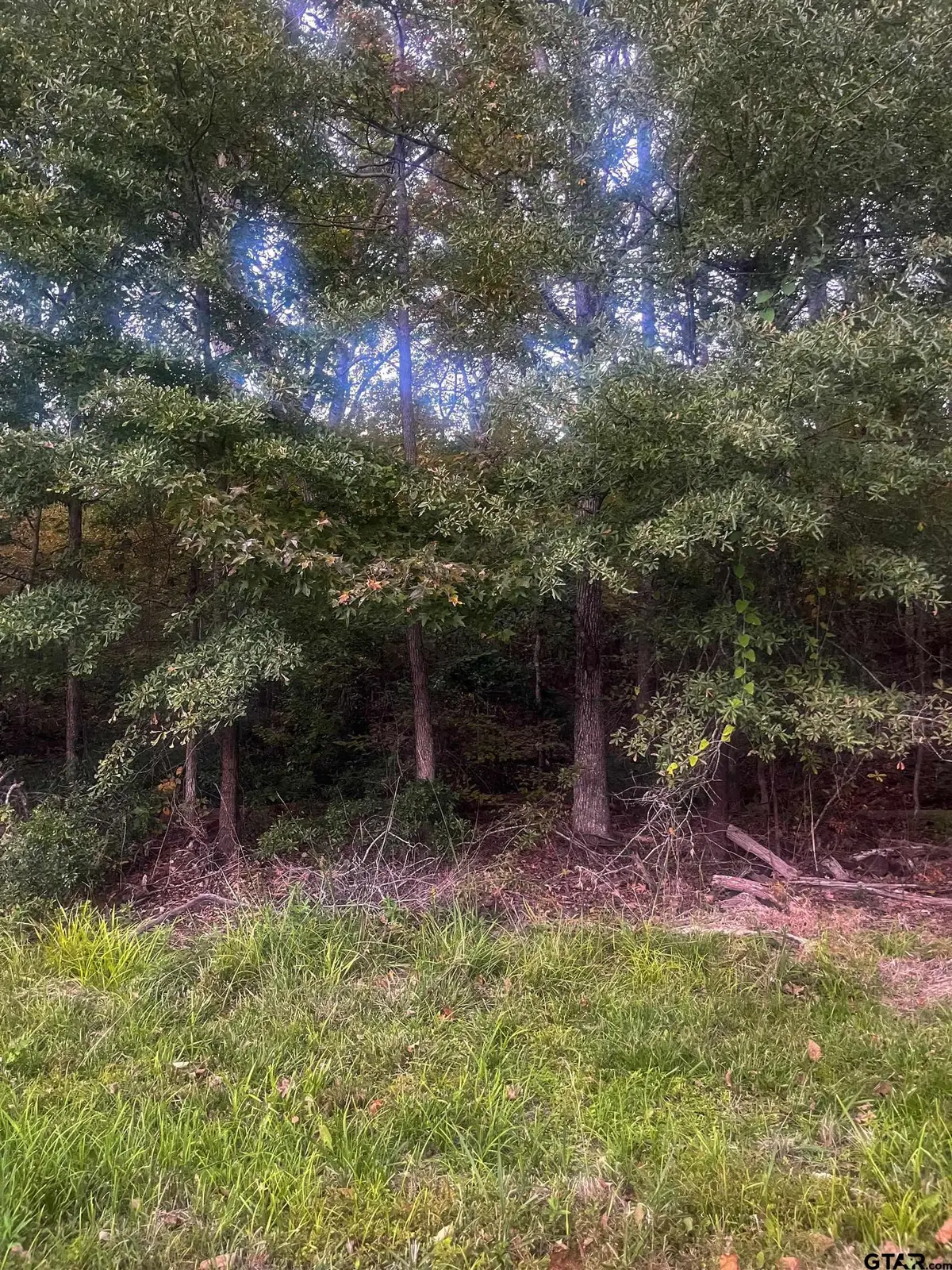 00 Cherokee St., Tyler, TX 75705 - Image #1