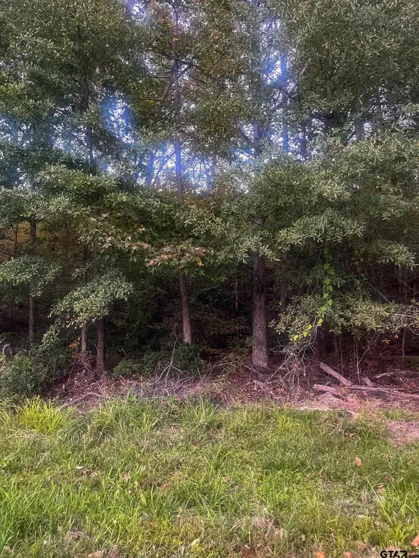 00 Cherokee St., Tyler, TX 75705