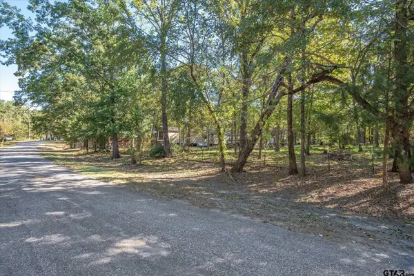 Lot 87 Willow Drive, Wills Point, TX 75169