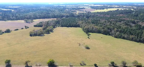 485 PR 6142, Grapeland, TX 75844