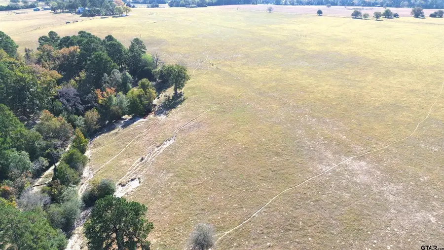 485 PR 6142, Grapeland, TX 75844 - Image #3