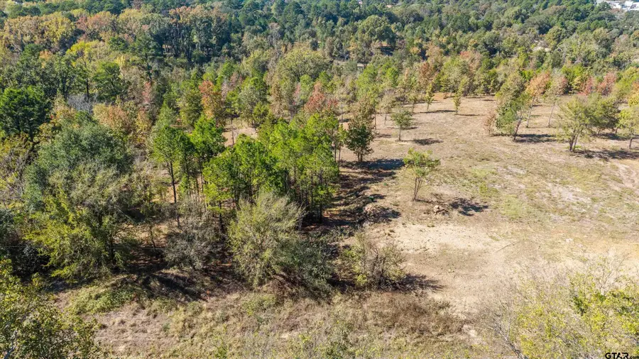 TBD County Road 4112 Lot 4, Lindale, TX 75771 - Image #3