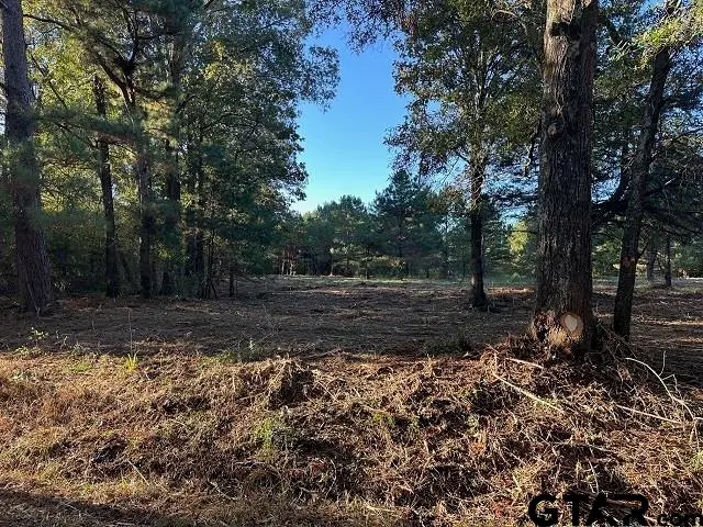 TBD CR 1552, Long Branch, TX 75669 - Image #1