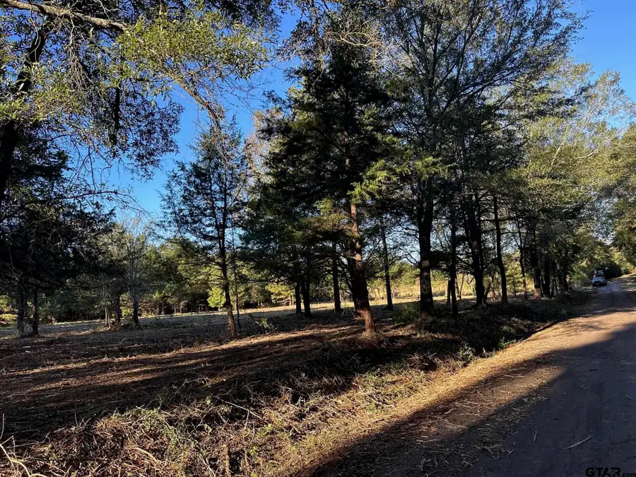 TBD CR 1552, Long Branch, TX 75669 - Image #2