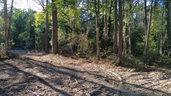 000 CR 4330, LaRue, TX 75770