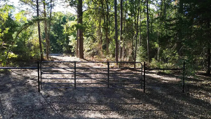 000 CR 4330, Larue, TX 75770 - Image #3