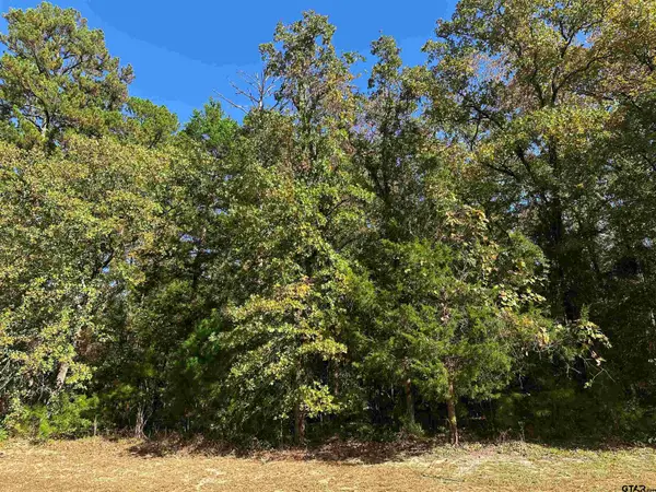 8714 Wilder Trail, Tyler, TX 75703