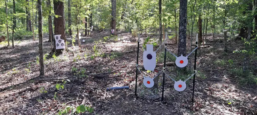 TBD CR 317, Henderson, TX 75654 - Image #3