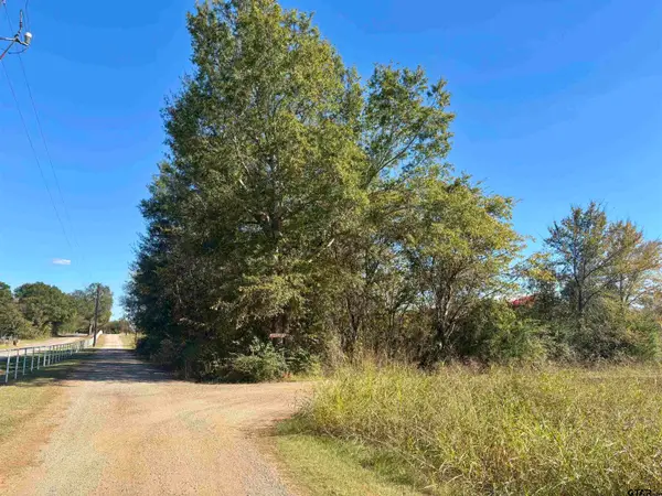 Lot 166 Kitty Hawk Dr., Frankston, TX 75763