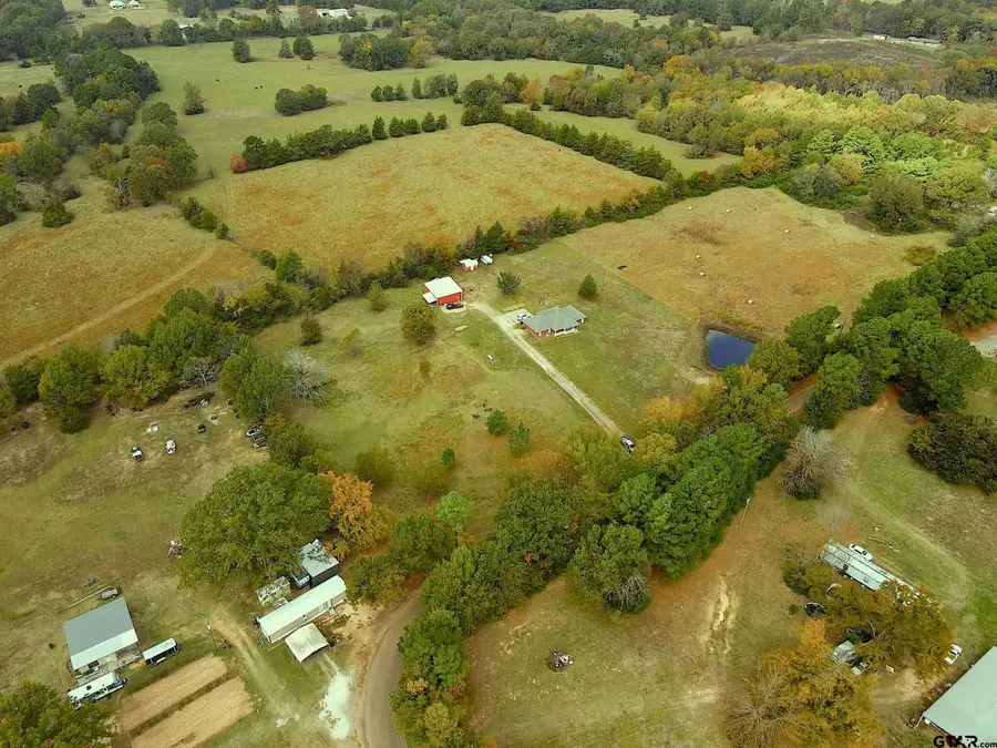 289 County Road 3360, Cookville, TX 75558 - Image #3