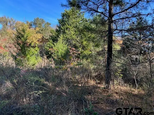 Lot 14 &15 CR 2269, Mineola, TX 75773 - Image #1