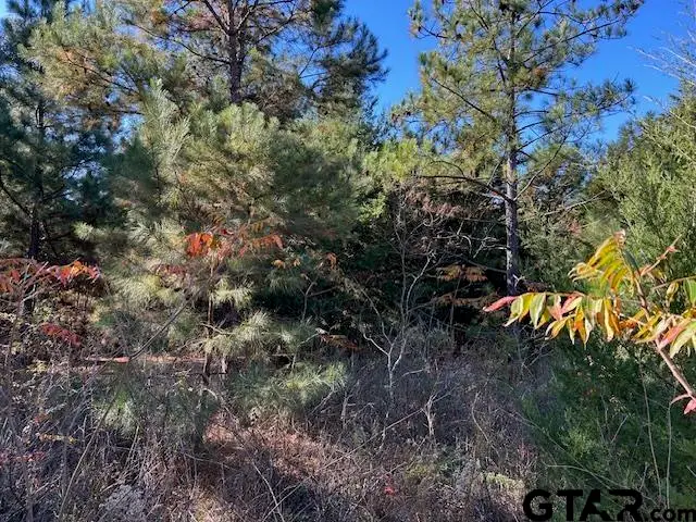 Lot 14 &15 CR 2269, Mineola, TX 75773 - Image #2