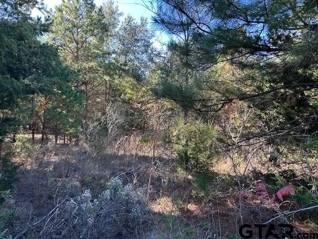 Lot 14 &15 CR 2269, Mineola, TX 75773 - Image #3