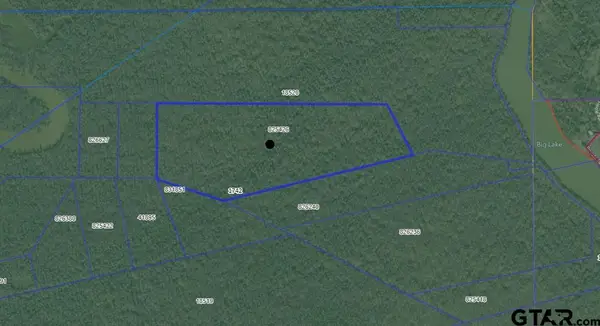 TBD PR 6903, Palestine, TX 75803