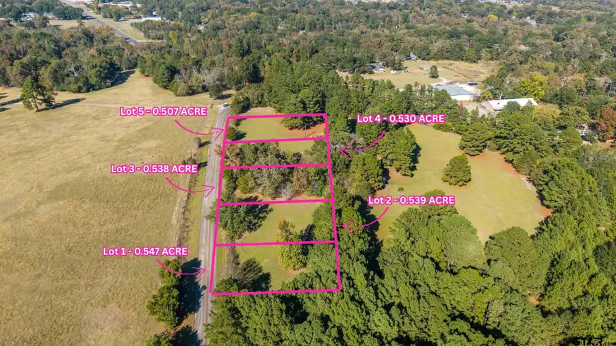 TBD County Road 2174 Lot 1, Whitehouse, TX 75791 - Image #2