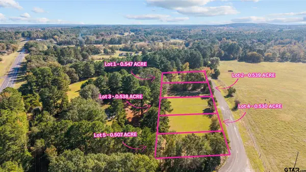 TBD County Road 2174 Lot 3, Whitehouse, TX 75791