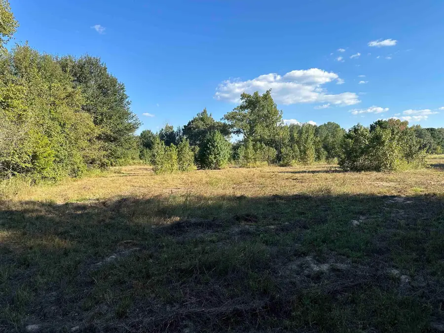 TBD CR 3701, Murchison, TX 75778 - Image #2