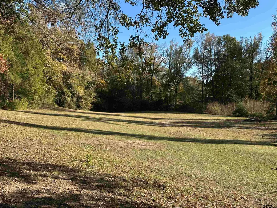 TBD N Cecelia, Mount Pleasant, TX 75455 - Image #3