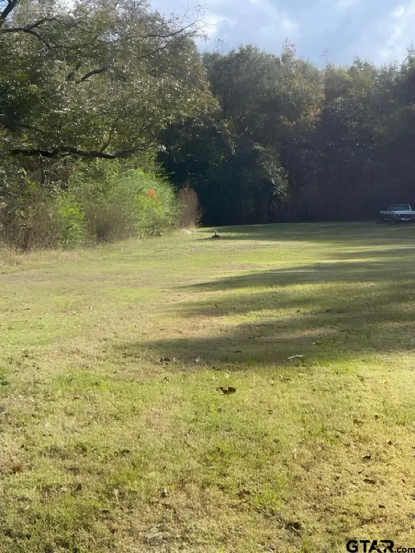 112 N Price Street, Troup, TX 75789