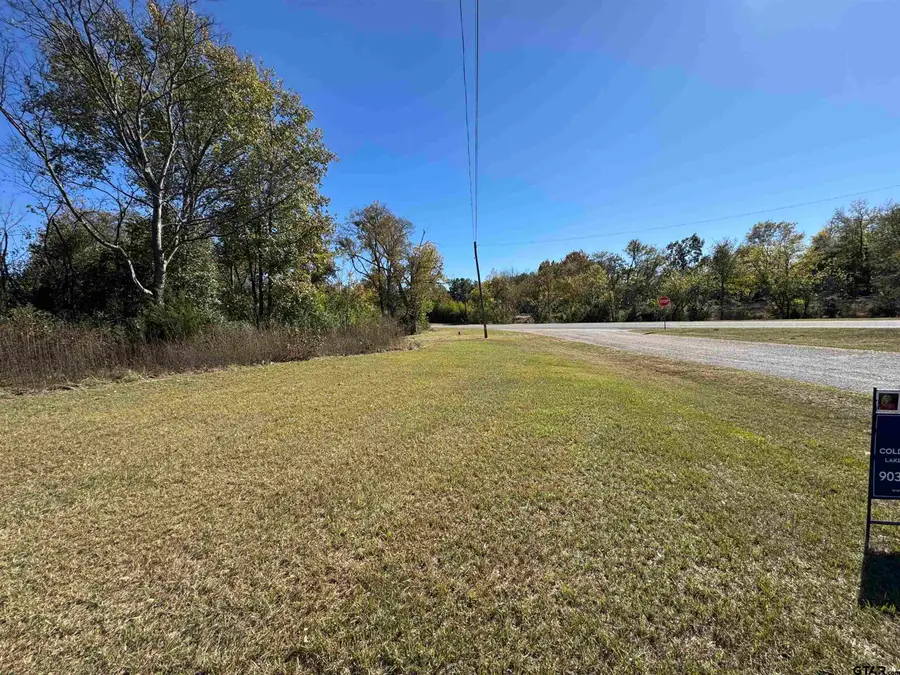 703 Connie Mae, Winnsboro, TX 75494 - Image #2