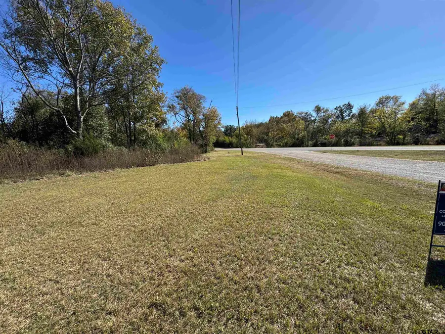 703 Connie Mae, Winnsboro, TX 75494 - Image #3