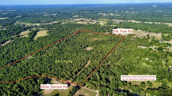 TBD Silver Spruce Rd, Gilmer, TX 75645