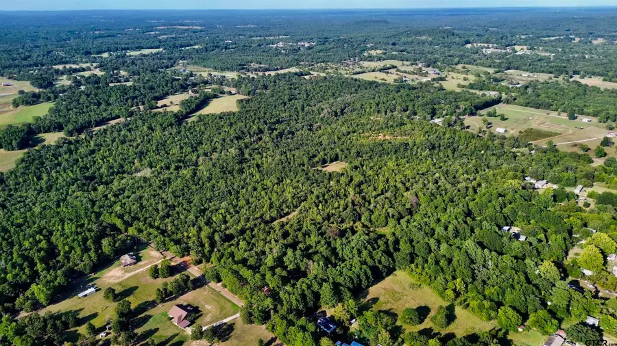 TBD Silver Spruce Rd, Gilmer, TX 75645 - Image #3