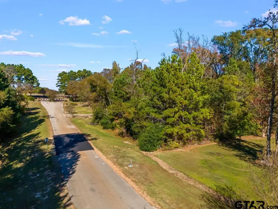 Lot 186 Lago Vista Dr, Athens, TX 75752 - Image #3