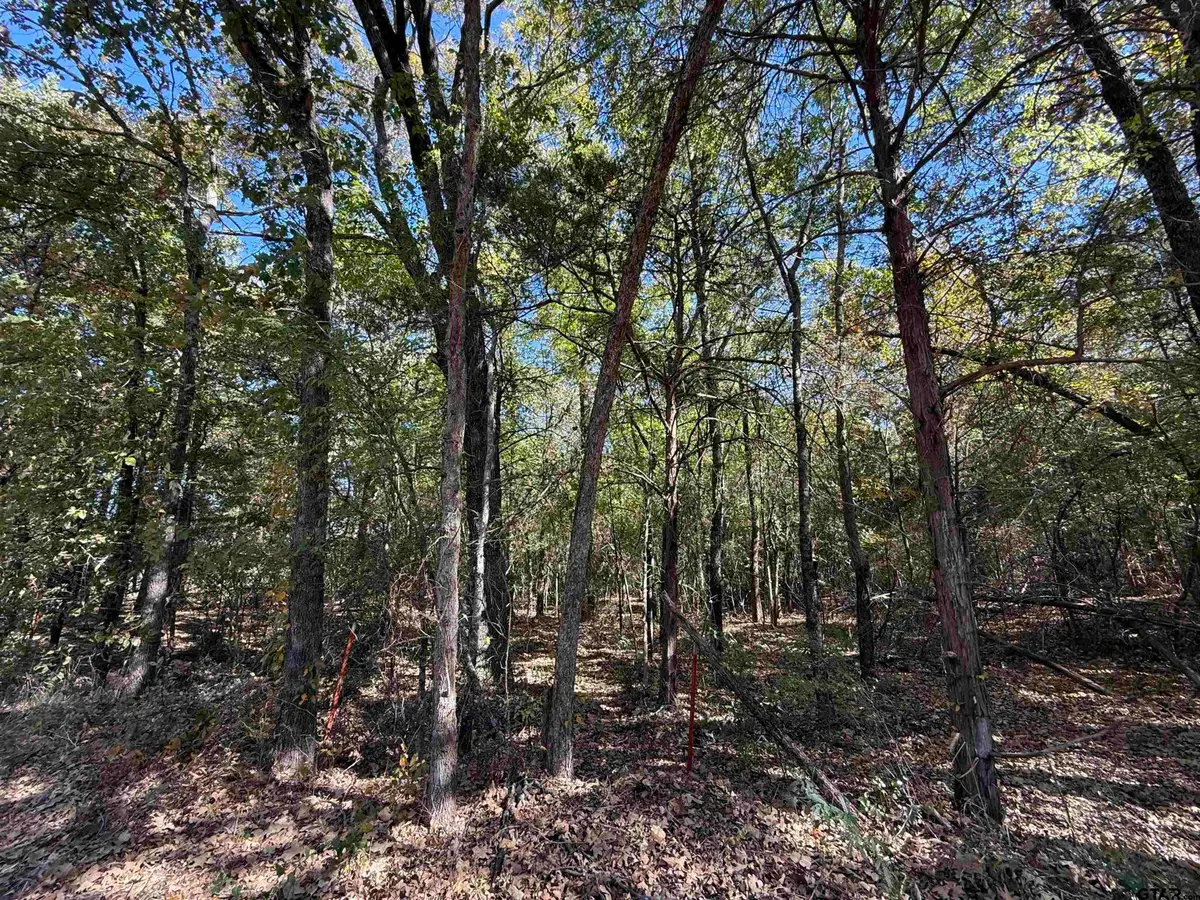 000 C R 1412, Van, TX 75790 - Image #1