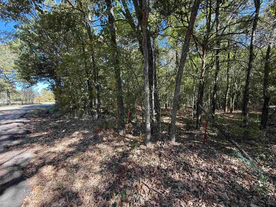 000 C R 1412, Van, TX 75790 - Image #2