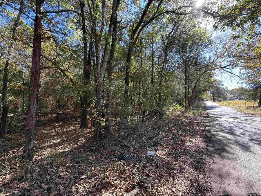 000 C R 1412, Van, TX 75790 - Image #3