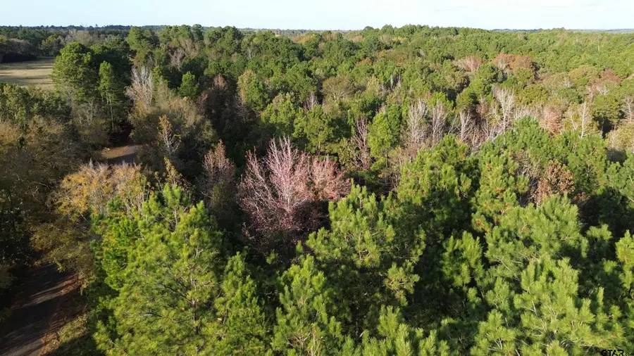 23528 FM 838, Overton, TX 75684 - Image #3