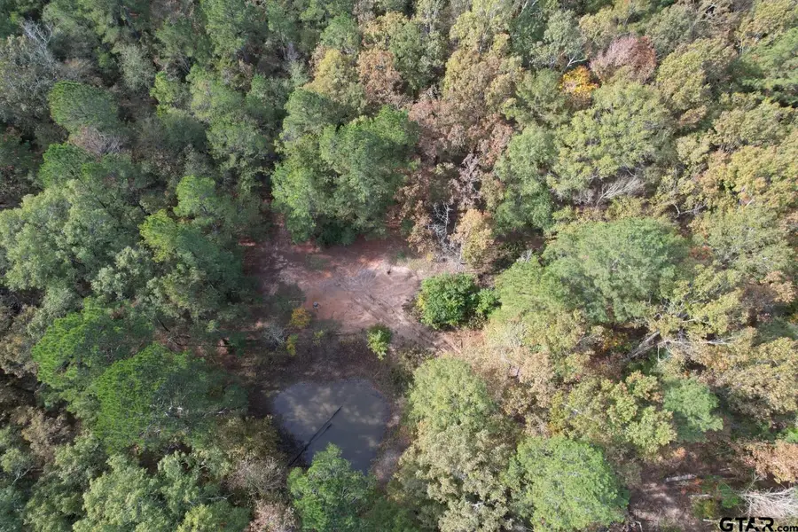 TBD-A Boggy Rd, Waskom, TX 75692 - Image #3