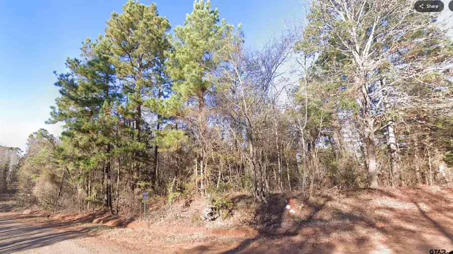 0 Co Rd 2117, Douglassville, TX 75560 - Image #3