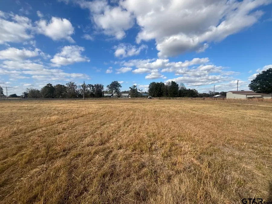 13375 FM 346 W, Flint, TX 75762 - Image #3