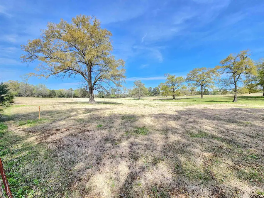 LOT 1 FM 49, Gilmer, TX 75644 - Image #2