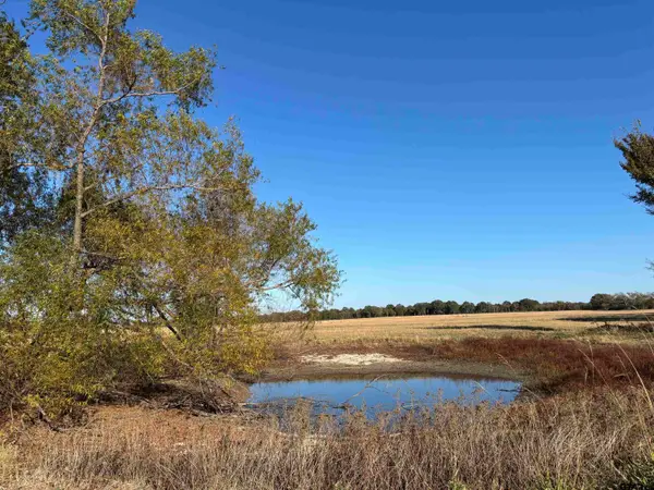 000 FM 1653, Ben Wheeler, TX 75754