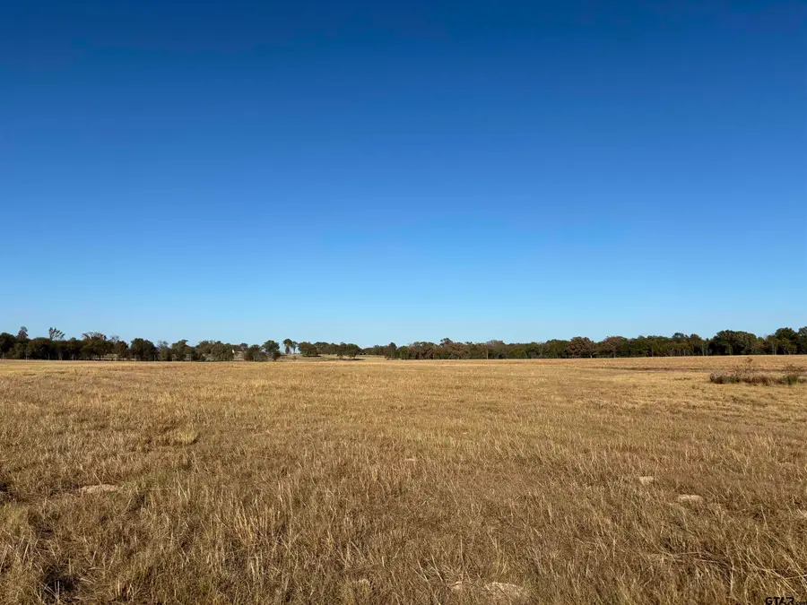 000 FM 1653, Ben Wheeler, TX 75754 - Image #2